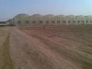 صالات زراعية منطقة الخرج